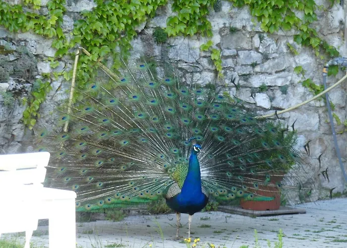 Casa de Férias Ancienne Bergerie Du Viala - Silent Nature