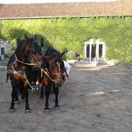 Ancienne Bergerie Du Viala - Silent Nature *