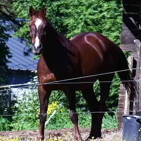Ancienne Bergerie Du Viala - Silent Nature Hébergement de vacances