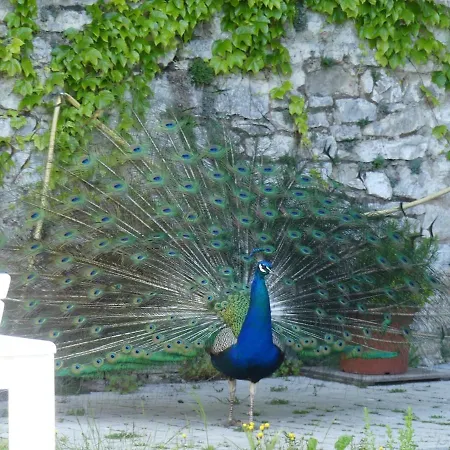 Hébergement de vacances Ancienne Bergerie Du Viala - Silent Nature