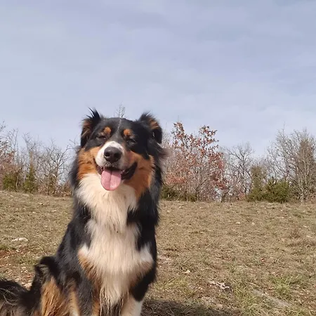 Ancienne Bergerie Du Viala - Silent Nature Hébergement de vacances Cornus