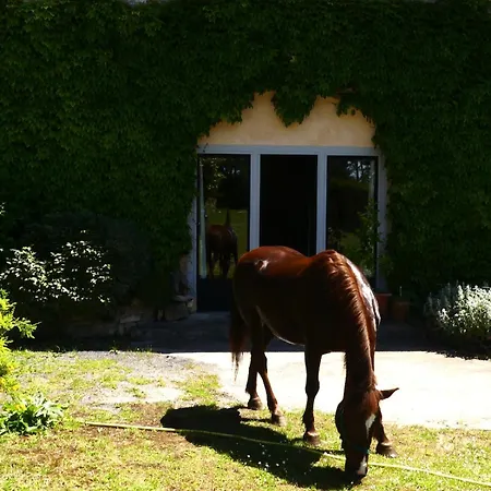 Hébergement de vacances Ancienne Bergerie Du Viala - Silent Nature *
