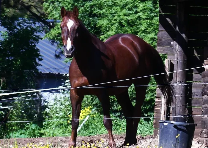 Ancienne Bergerie Du Viala - Silent Nature Tatil Evi