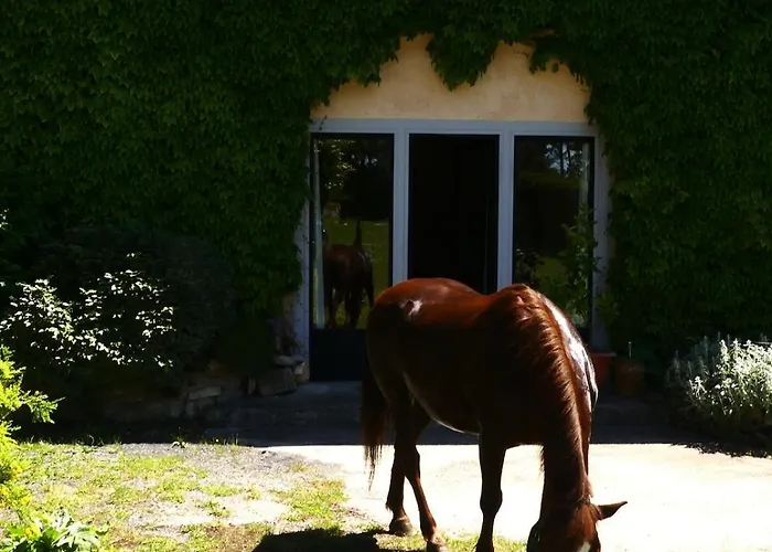 Σπίτι διακοπών Ancienne Bergerie Du Viala - Silent Nature *
